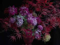 0O7A0925 image