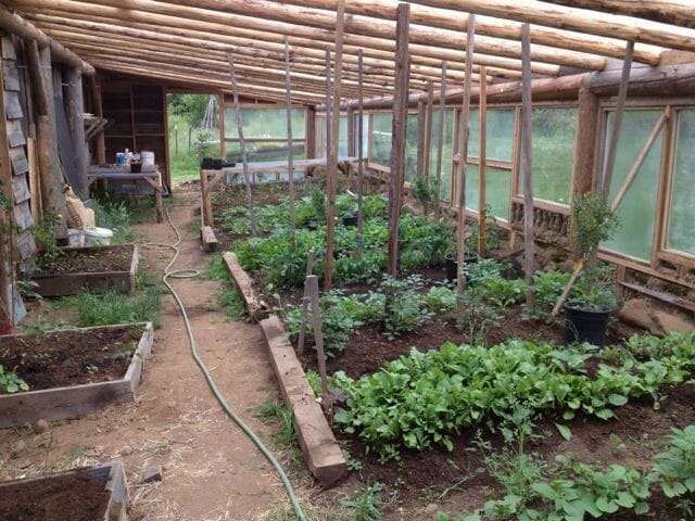 Greenhouse at Siskiyou Seeds