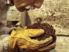 562.Lee Reich Smelling compost image