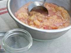 applesauce to freeze image