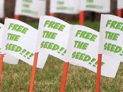 April 17 release flags e1419000400595 (1) image