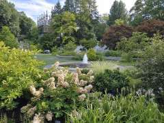 Asa Gray Garden 2 image