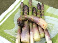 asparagus fresh picked image