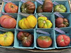 ASSORTED FRUIT 22954BEF 4AA2 4C78 91A0 444B502CD2D2 image