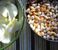 beans and onions image