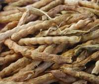 beanseeds image