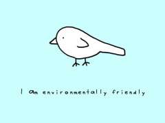 bird copyright andre jordan image