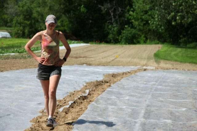 soil solarization with Sonja Birthisel