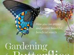 Book GFB image