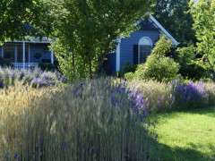 Brie Arthur front yard image