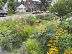 BufferBetweenYards Preston Montague image
