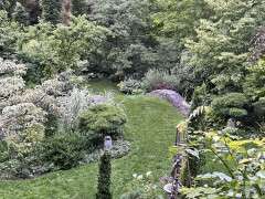By Ken Druse Vert long shot image