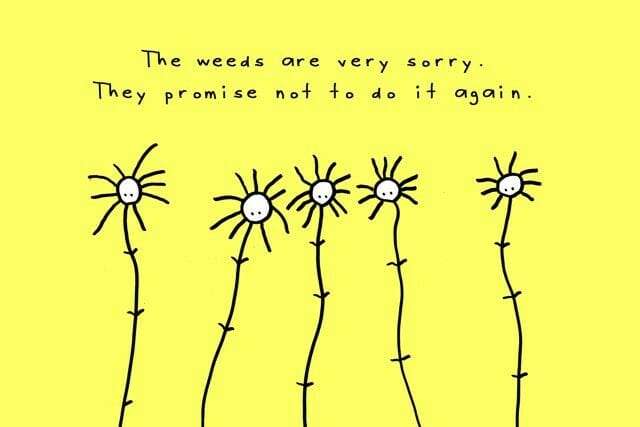 CARD_The_weeds