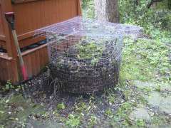 cary's compost bin image