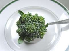 central head of piracicaba broccoli image
