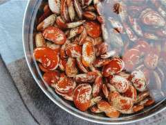 Christmas Lima heirloom bean image