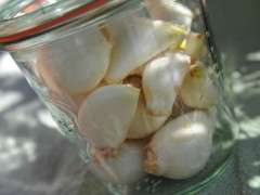 cloves of garlic to freeze image