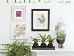 Complete Book of Ferns Cover image
