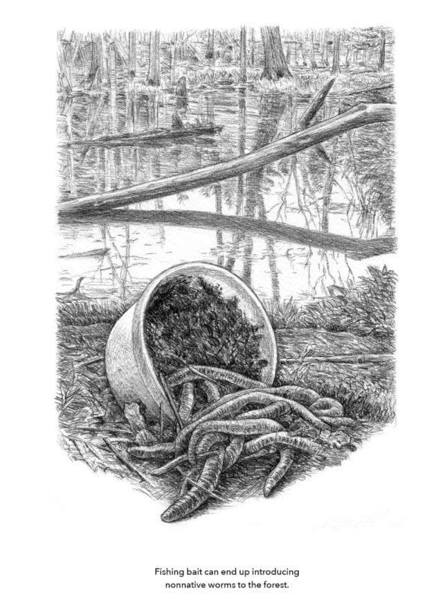 earthworms-by-andrew-joslin