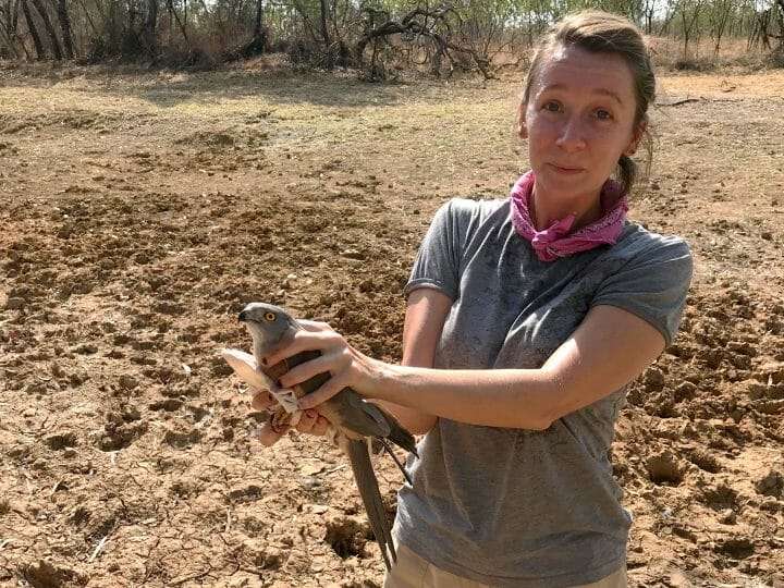 Emma Greig Project FeederWatch