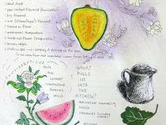 endpaper from 'heart of the plate' by mollie katzen image
