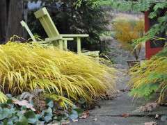 fall front path image