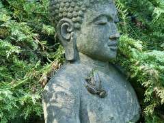frog climbs buddha DSC 3160 (2) image