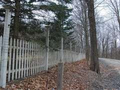 front mesh above picket image