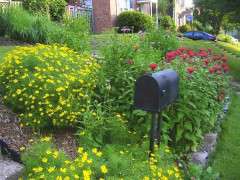 garden landscape david mizejewski image