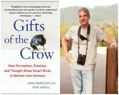 gifts of the crow