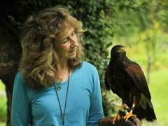 Hawk Sept 6 2021 5053 Sm Tia photo image