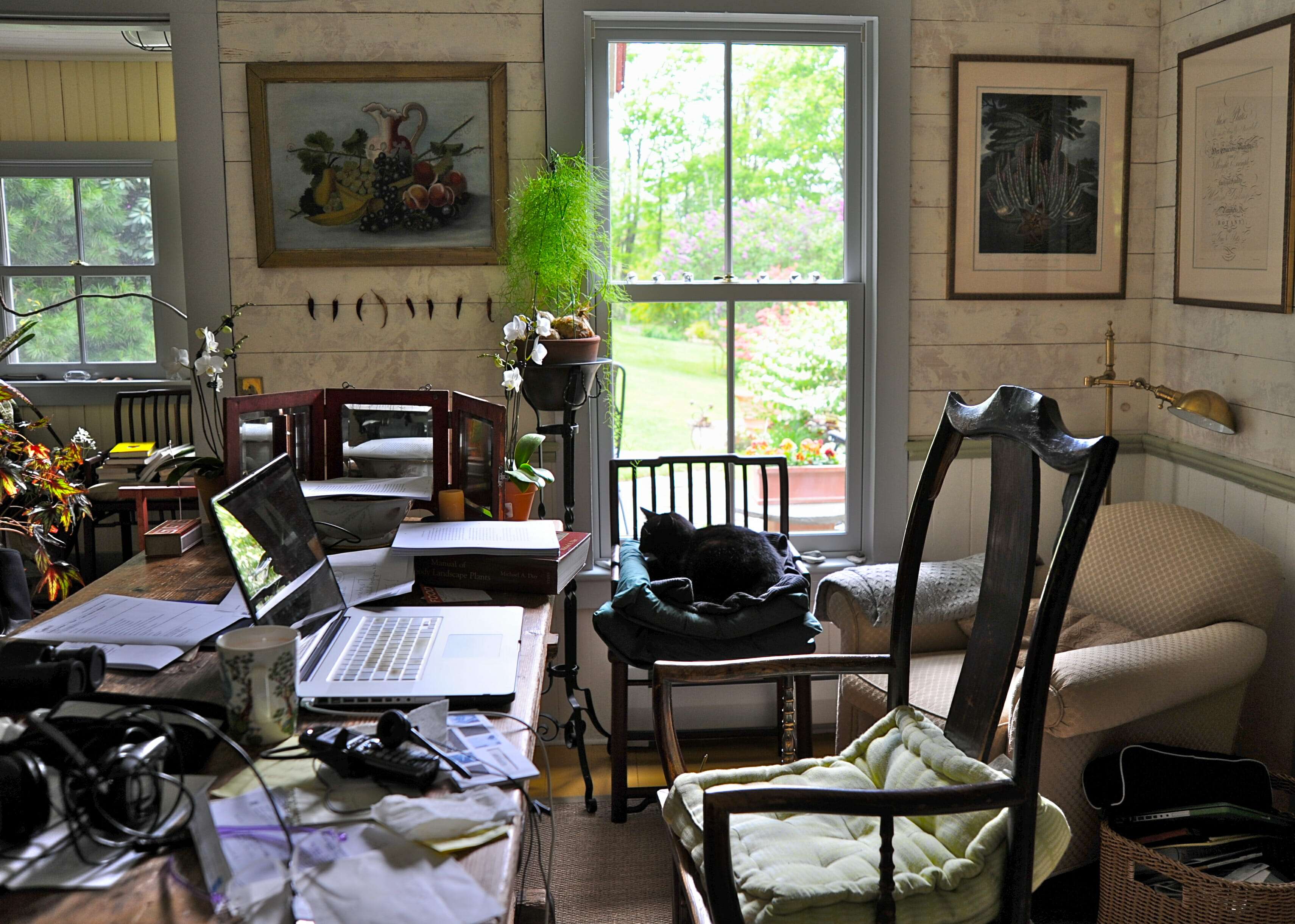 Margaret Roach office