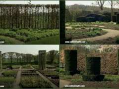 hedge collage image