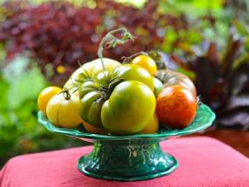 Homegrown heirloom tomatoes