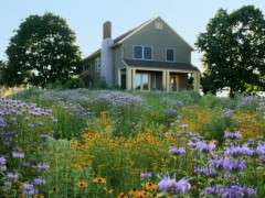 Home 13 899x415 image