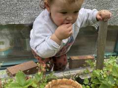 IMG 7743 image