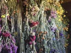 IMG 0997 image