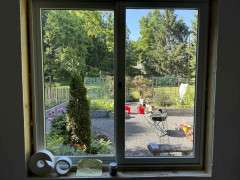 IMG 3021 image