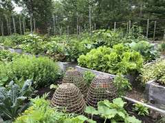 IMG 5367 image