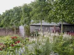 IMG 9343.JPG image