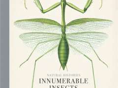 Innumerable Insects Cover image