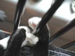 jack's feet image
