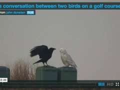 john dunstan video image