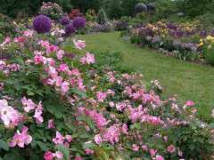 June 3 2015 RHR 037 image