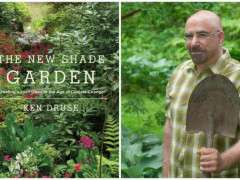 ken druse new shade garden image