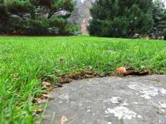 last cutting of grass image