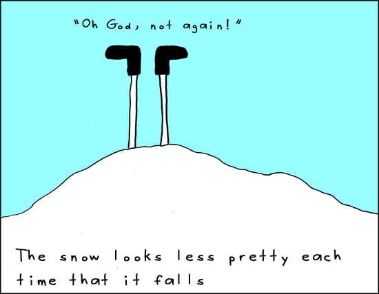 garden cartoon of a snowy winter