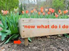 leveling raised bed illo image