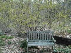 lindera and bench2 image