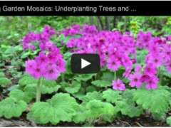 making mosaics video image